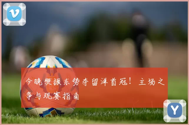 今晚樊振东势夺留洋首冠！主场之争与观赛指南