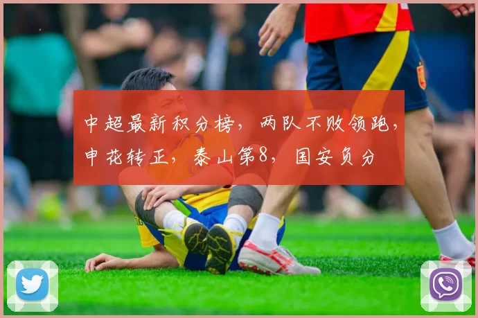 中超最新积分榜，两队不败领跑，申花转正，泰山第8，国安负分
